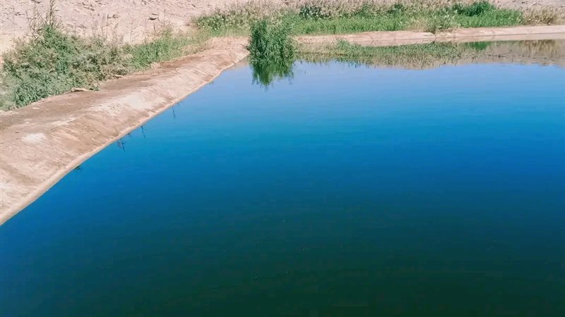 مياه الشرب 