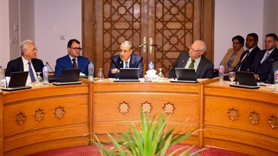 وزير الخارجية يبحث مع سفراء مصريين سابقين سبل تعزيز الحضور المصري في أفريقيا