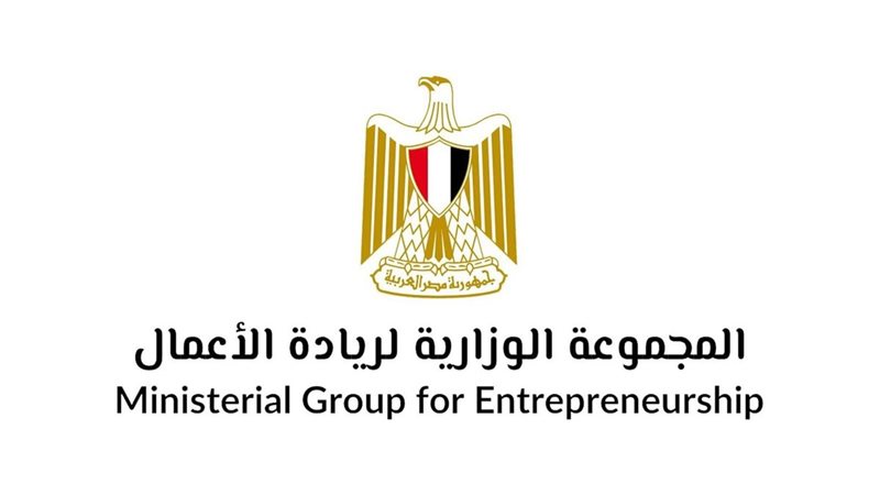 الشركات الناشئة في مصر