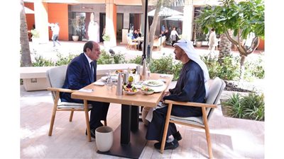 عضو بـ «خارجية النواب»: زيارة الرئيس السيسي إلى أبوظبي محطة فارقة في العلاقات المصرية-الإماراتية
