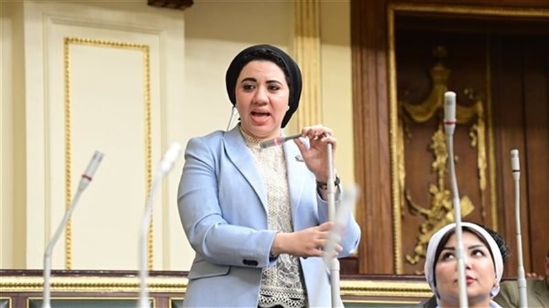  النائبة أميرة صابر عضو مجلس الشيوخ