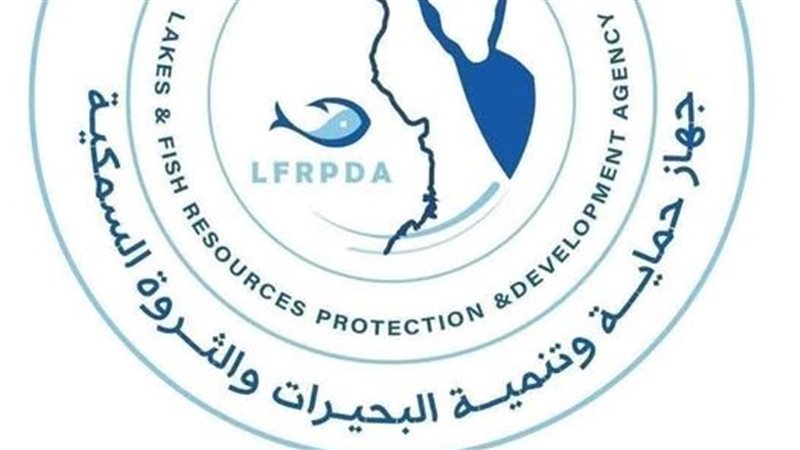 ارشيفية 