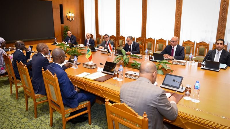 مباحثات مصرية سنغالية لتعزيز الشراكة الاستراتيجية