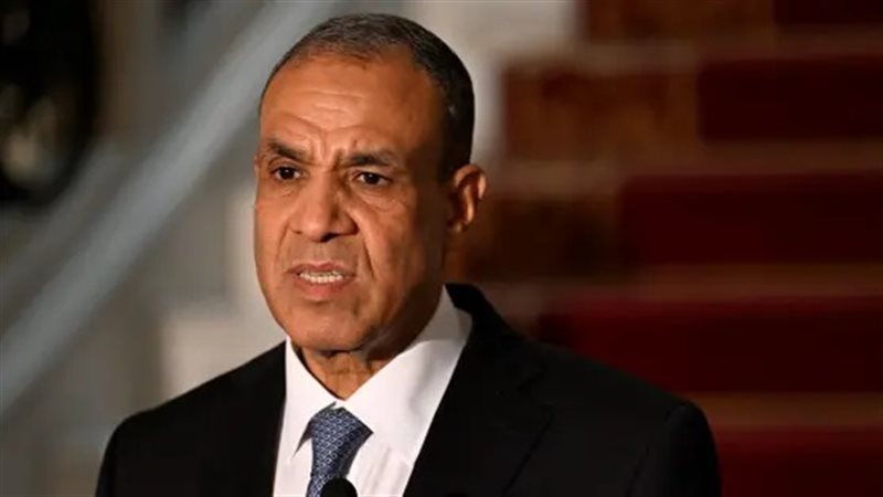 بدر عبد العاطي 