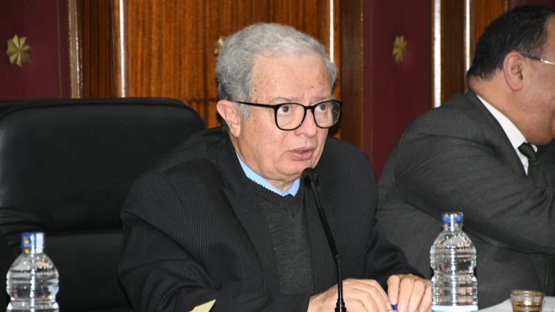نائب رئيس الوزراء الجديد