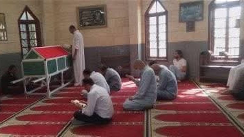 أرشيفية 