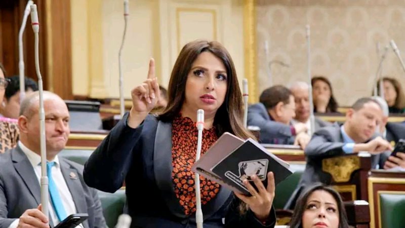 النائبة نشوي الشريف، عضو مجلس النواب 