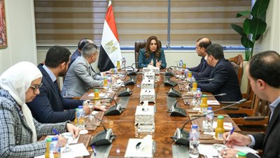 تنسيق كامل فى الملفات والمشروعات بكفاءة في مجالات التنمية المحلية