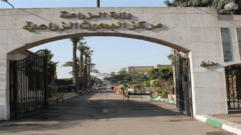 مركز البحوث الزراعية