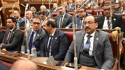  أعضاء بمجلس الشيوخ: التوجيهات الرئاسية للمحليات تحرك حاسم لتعزيز ودعم دولة المؤسسات