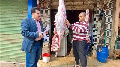 بيطري المنيا: ضبط أكثر من 719 كيلو لحوم غير صالحة ومذبوحة خارج المجازر 