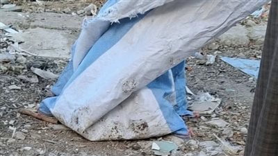 التحقيق في العثور على 10 أجنة وأطفال حديثي الولادة داخل برطمانات بالمنيا