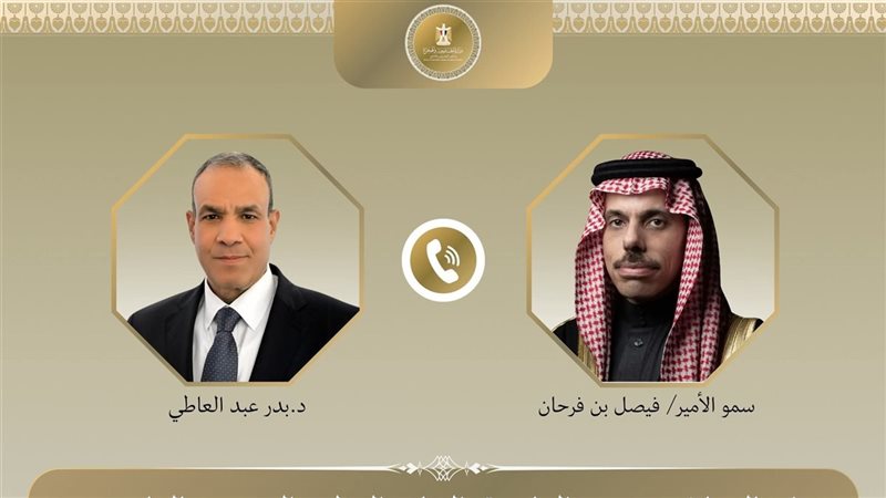 وزير الخارجية المصري ونظيره السعودي
