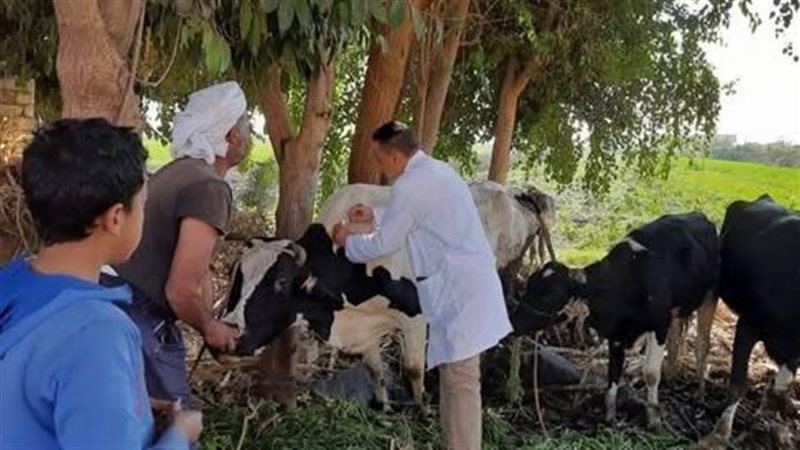 تعبيرية