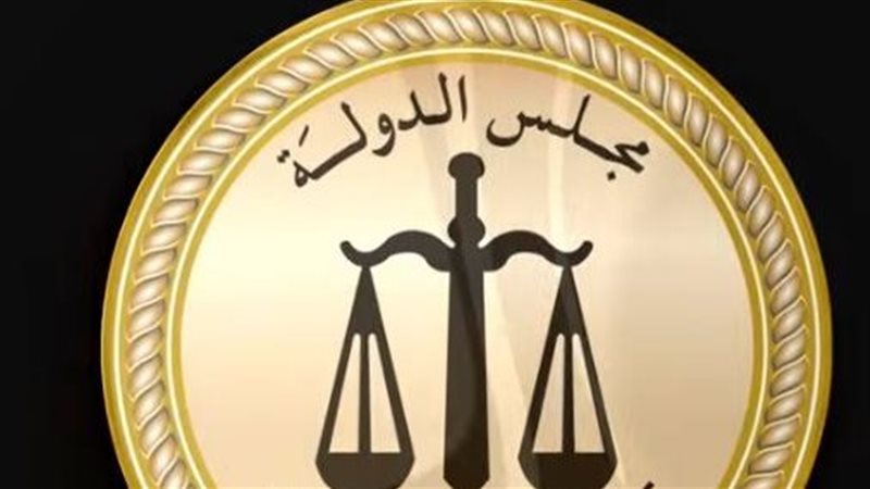 مجلس الدولة 