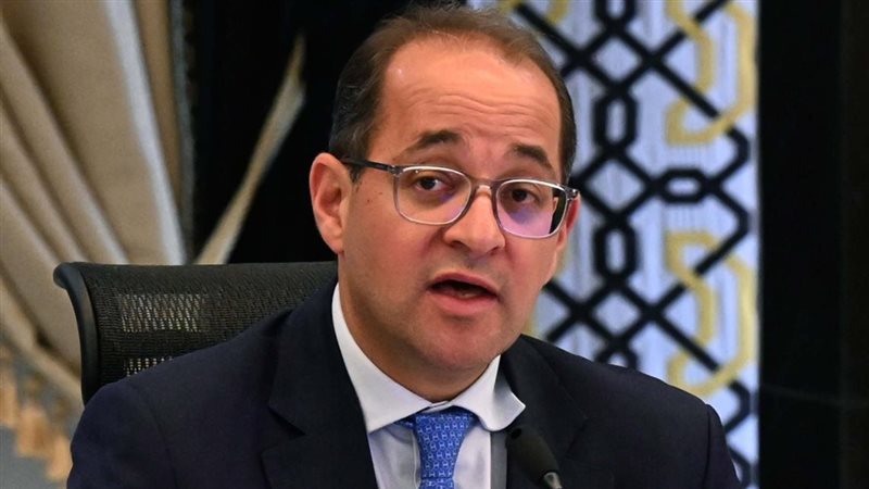 وزير المالية