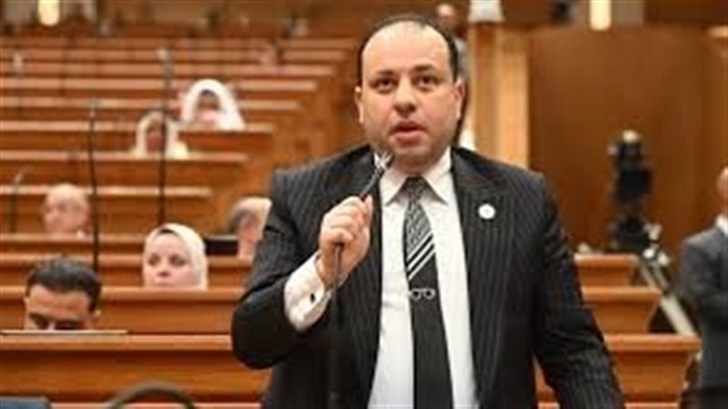  النائب وليد خطاب، عضو مجلس النواب