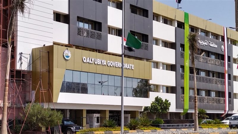 الدكتور حسام الدين عبد الفتاح محافظ القليوبية