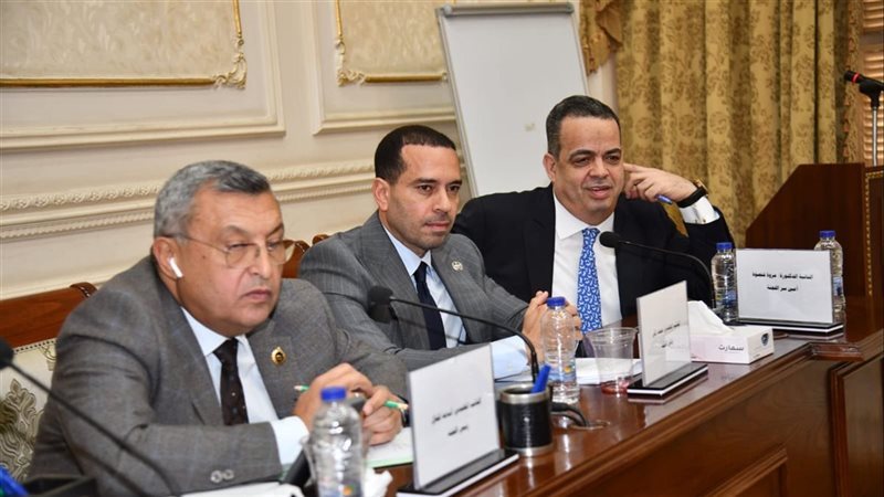 خلال اجتماع اللجنة 