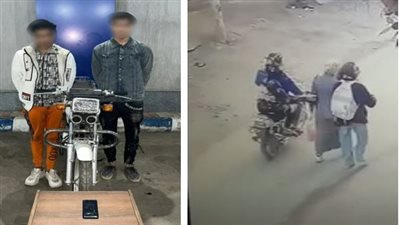 بعد خطف هاتف سيدة.. سقوط عاطلين كونا عصابة للسرقة بالدقهلية 