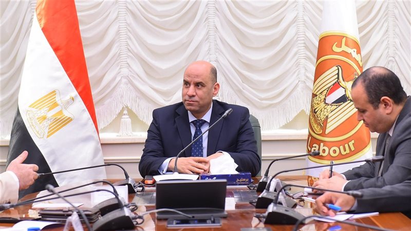 وزير العمل 