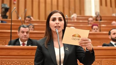 إنجي مراد: المسيحيون لم يكن لهم قانون موحد للأحوال الشخصية
