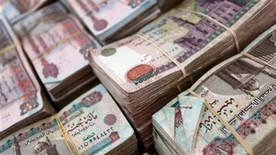 وزارة العمل تبدأ صرف 331.6 مليون جنيه منحة رمضان.. ومزايا بالجملة لهم في القانون