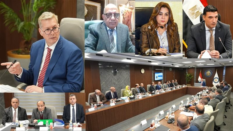 المهندس كريم بدوي