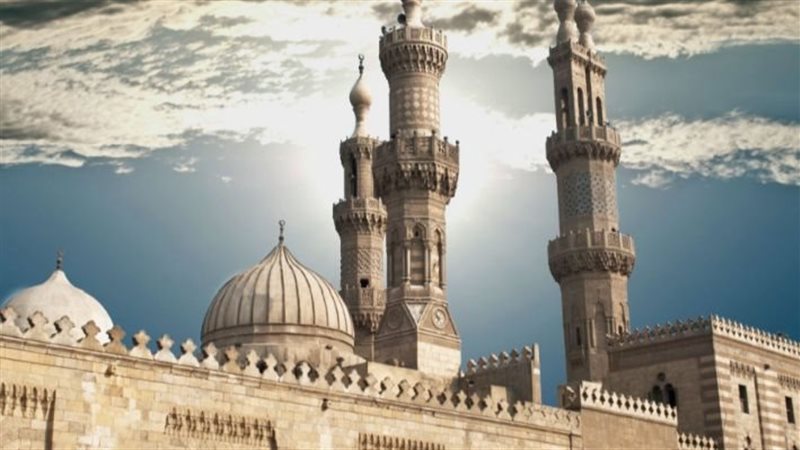 ارشيفية