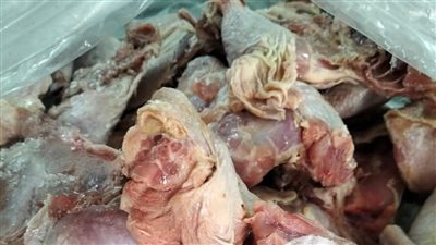 تحرير 306 محاضر وضبط لحوم وسلع غير صالحة خلال حملات تموينية بأسيوط