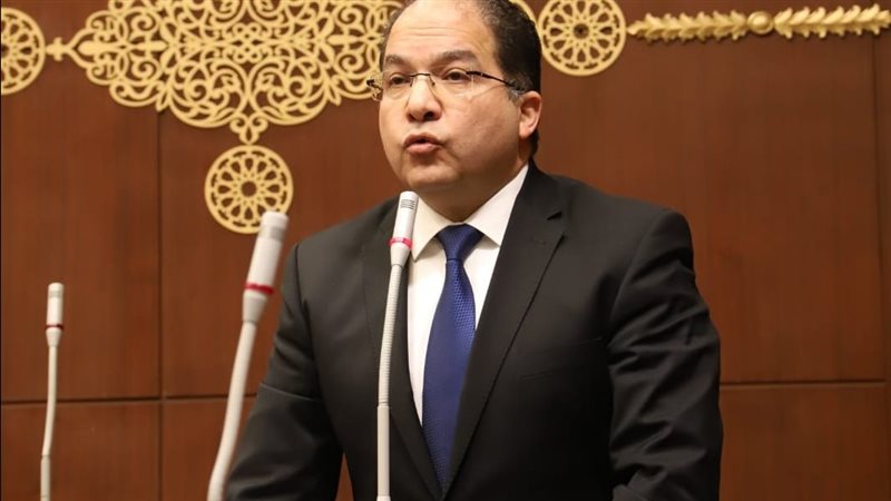 النائب عادل اللمعي، عضو مجلس النواب