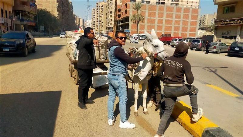 محافظ الجيزة 