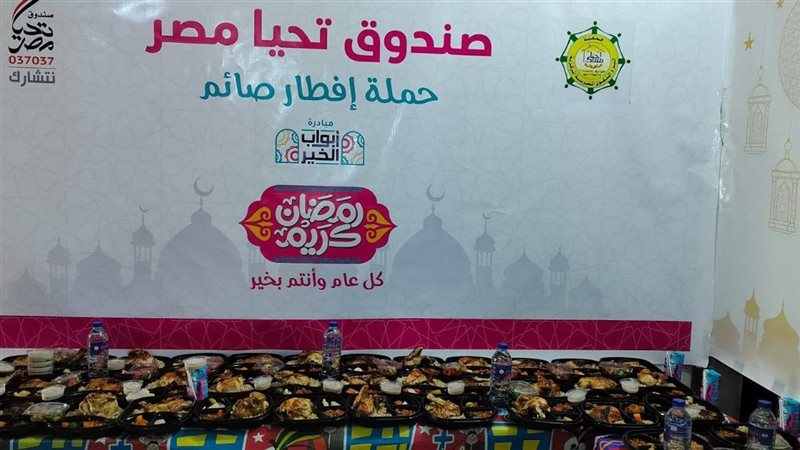 صندوق تحيا مصر