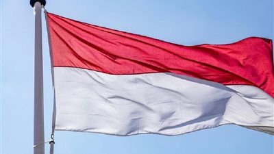  الصحة الإندونيسية: رصد فيروس نيباه لدى الخفافيش في ثلاث مقاطعات 