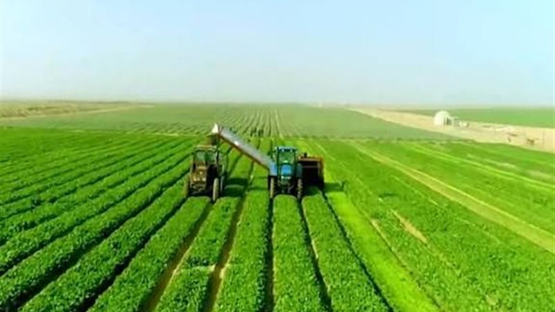 مشروع مستقبل مصر 