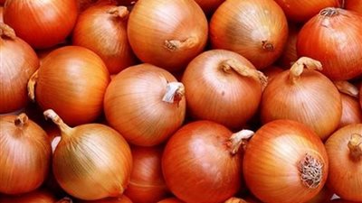 أسعار الخضروات اليوم والبصل من 8 لـ 20 جنيها في سوق العبور