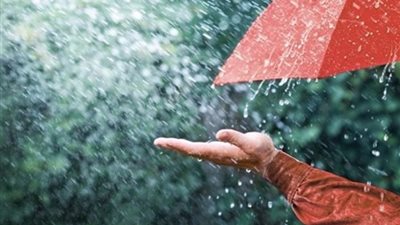 الدعاء المستجاب، دعاء النبي عند سقوط الأمطار