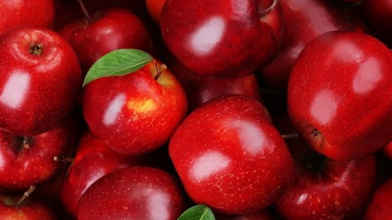 أسعار التفاح اليوم الثلاثاء
