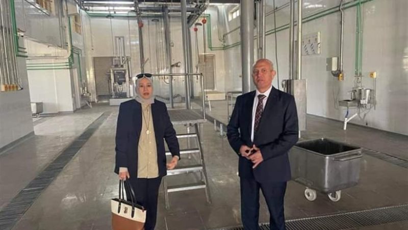 المجزر الآلي في دمياط