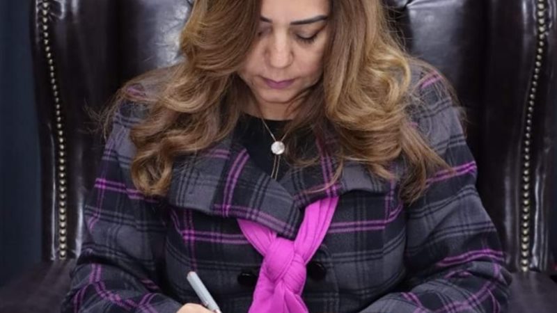 محافظ دمياط