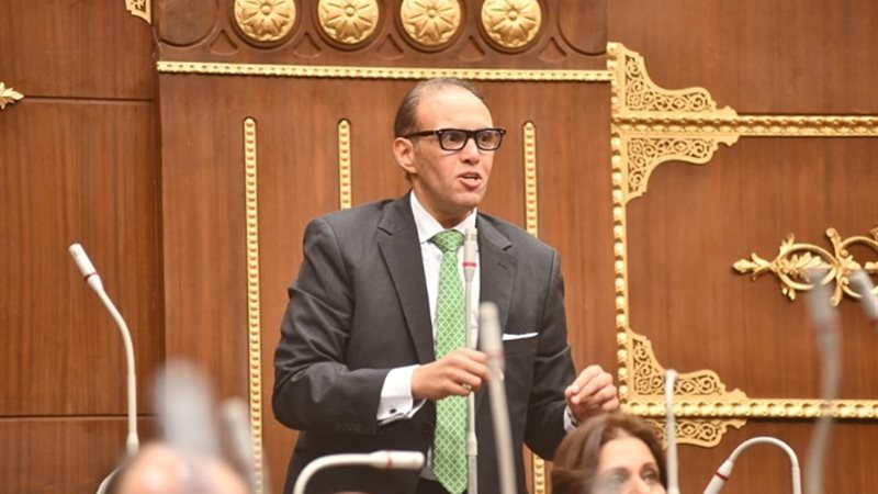 النائب محمد فريد
