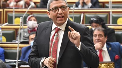 وكيل أول مجلس النواب: الرئيس السيسي يشعر بمعاناة المواطنين