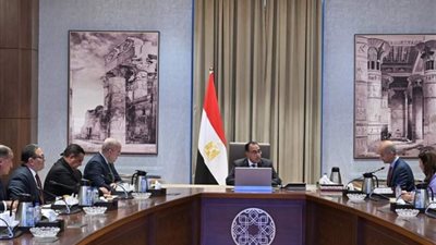 رئيس الوزراء يلتقي وفد برنامج الأمم المتحدة للمستوطنات البشرية (الهابيتات)