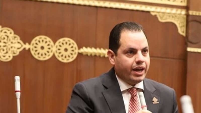 النائب أحمد فوزي