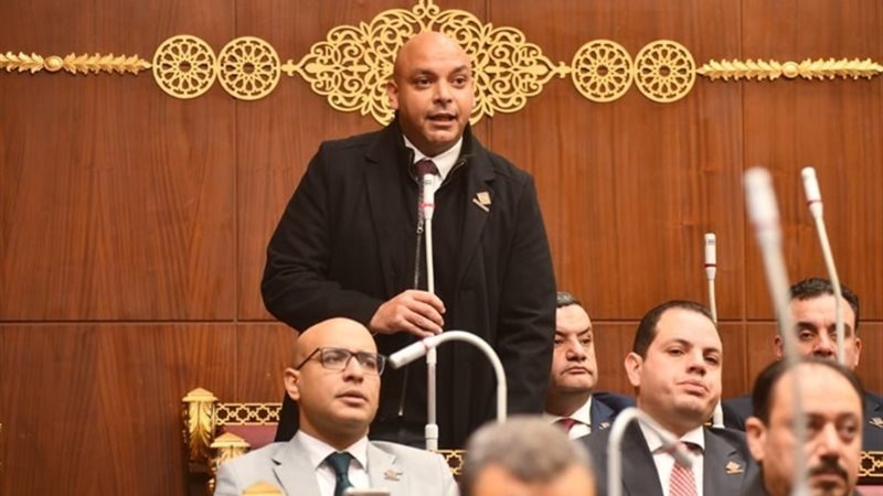 النائب محمود القط