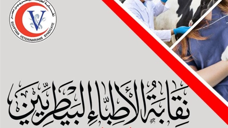 نقابة البيطريين