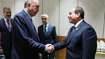 أستاذ علوم سياسية: تنويع العلاقات يعطي مصر مرونة للانخراط في القضايا الساخنة