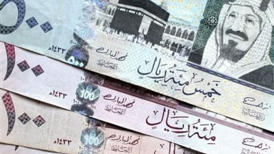 سعر الريال السعودي أمام الجنيه المصري اليوم الثلاثاء 13 فبراير 2024