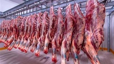شعبة القصابين تطالب بتشكيل لجنة لمتابعة تحركات أسعار اللحوم بالأسواق
