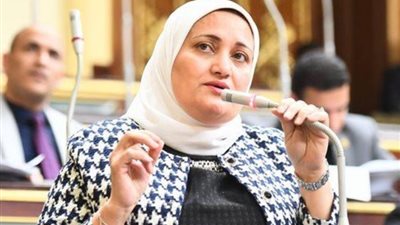 النائبة سناء السعيد: مصر لن تتخلى عن فلسطين وتنتقد بيان 